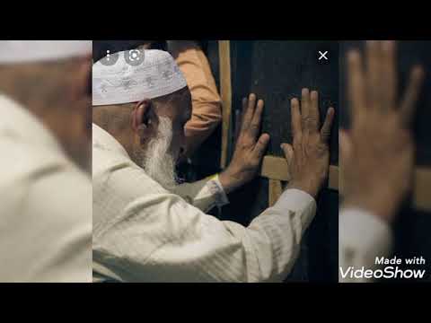 فاض الحنين فماذا يفعل الدنف أبو عبدالله علاء الأسيوطي