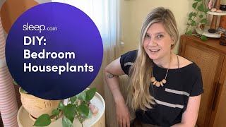 How to Use Bedroom Plants for Better Sleep | Sleep DIY with Meg Allan Cole | Sleep.com by sleepdotcom 1,960 views 2 years ago 4 minutes, 49 seconds