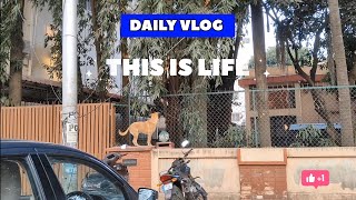 Daily Vlog Guys 👍 SUBSCRIBE AND SUPPORT ME GUYS 👍❤️