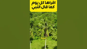 اقراها كل يوم كما قال النبي 