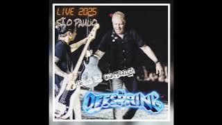 The Offspring - Mota (2025/Live in São Paulo)