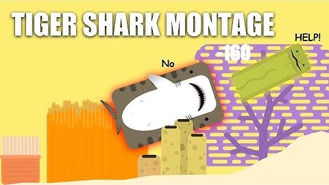 Tiger Shark is BUSTED | deeeep.io