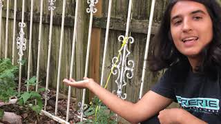 My Small Backyard Garden Tour! by Neena Beena 374 views 3 years ago 10 minutes, 12 seconds