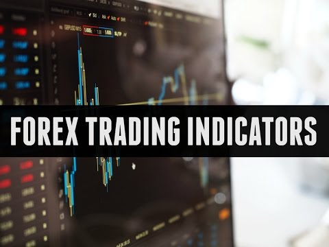 Compare forex trading software