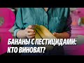 Новости: Бананы с пестицидами: Кто виноват?/ В поддержку независимых журналистов/ 03.05.2024