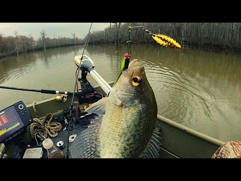 Jigs with live minnows & Winter beetle spin tips for Crappie fishing 