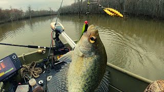 Jigs with live minnows & Winter beetle spin tips for Crappie fishing 