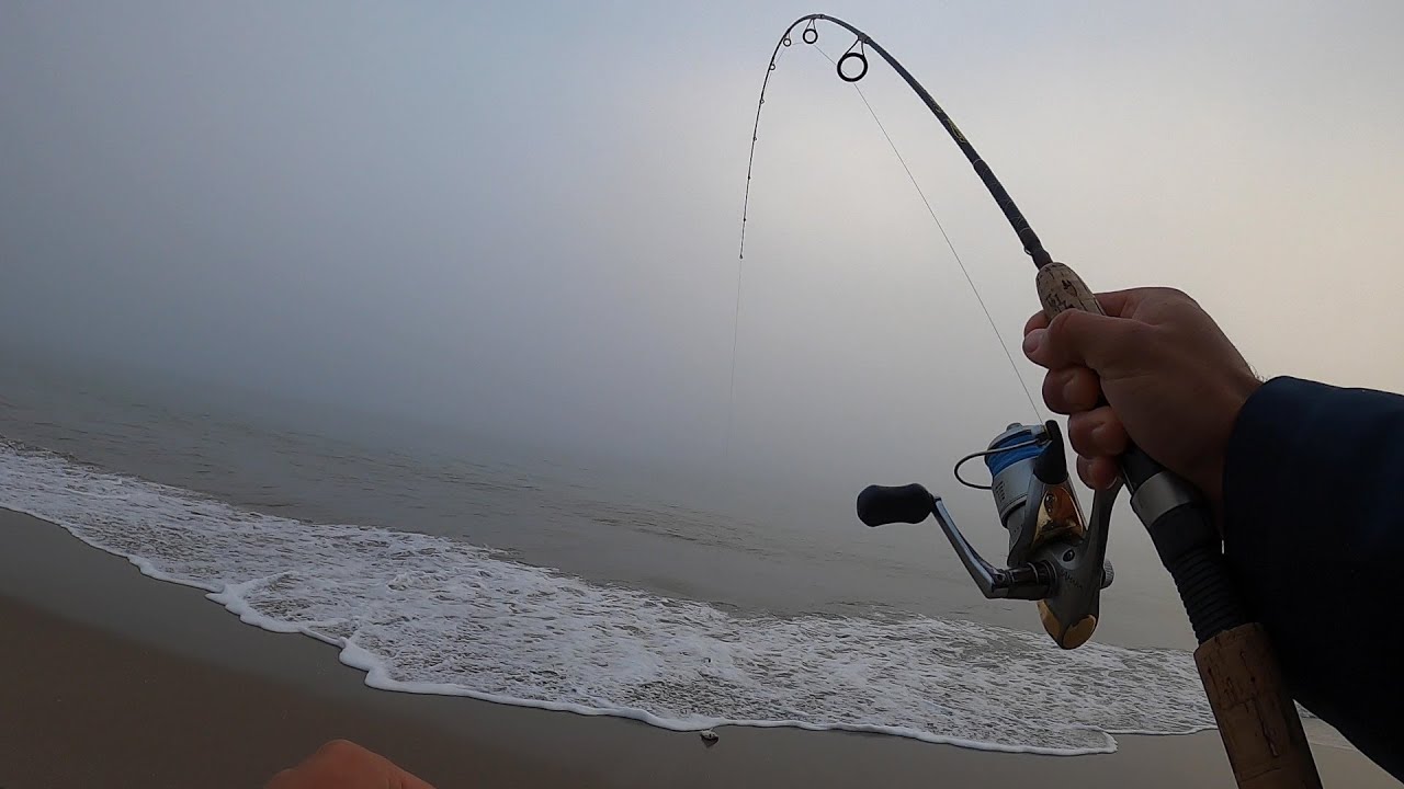 Ultralight Surf Fishing with live Sand Crabs (NEW MERCH GIVEAWAY) 