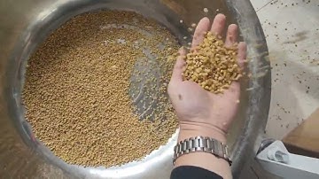 Optical Yellow Bean Color Sorting Machine 500kg per hour