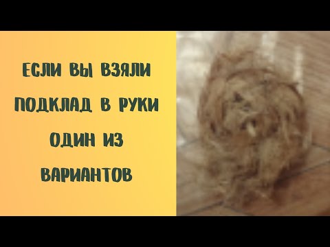 Если Вы взяли подклад в руки Один из вариантов