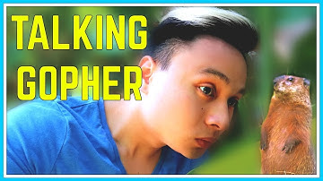 TALKING GOPHER!?