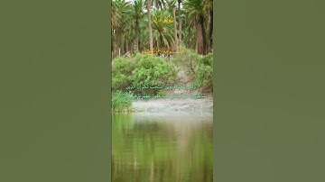 وقال ربكم ادعوني أستجب لكم | سورة غافر القارئ: الحاج عامر الكاظمي