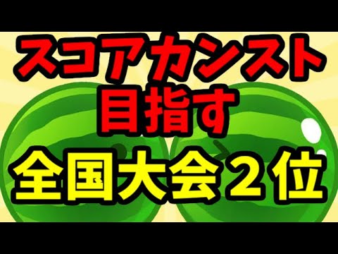 【世界ランカー7041点】全国大会2位がスコアカンストを目指す！ダブルスイカ複数回達成者【スイカゲーム】