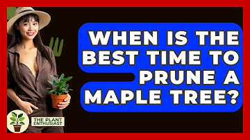 When Is The Best Time To Prune A Maple Tree? - The Plant Enthusiast
