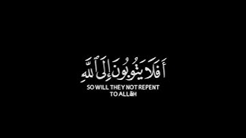 كروما شاشه سوداء قرآن كريم🍁 تلاوة خاشعة من سورة المائدة🍁 القارئ#احمد_الشافعي #القرآن_الكريم