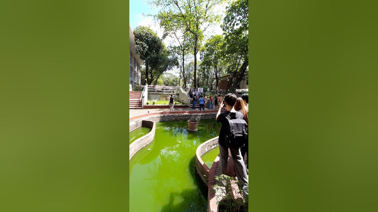 UP oblation run 2023.bird watchingUPOblationRun2023 birdwatching