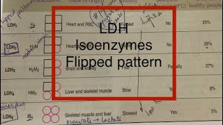 LDH isoenzymes,Lactate dehydrogenase isoenzymes,flipped pattern