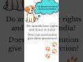 Do animals have rights and duties in India. #straydogs #animallovers #dogshorts #trending #shorts