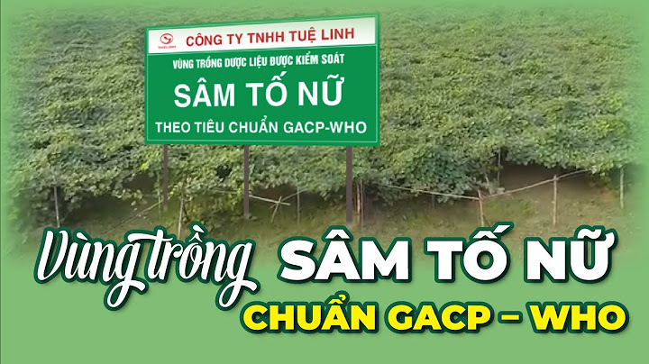 Hướng dẫn thực hiện trồng cây dược liệu theo gacp năm 2024