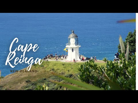 Video: Cape Reinga: teejuht Uus-Meremaa põhjapoolseimasse tippu