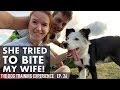 What Do You Do When Your Dog Tries To Bite You?