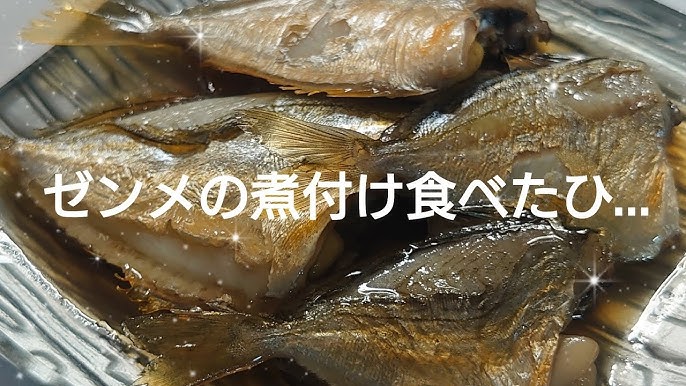 堤防から簡単に釣れるヒイラギの調理方法紹介 釣り人にはエサ取り扱いされますが これも食べるとなかなかおいしい魚なんです 釣った外道 雑魚を美味しく食べよう編 Youtube