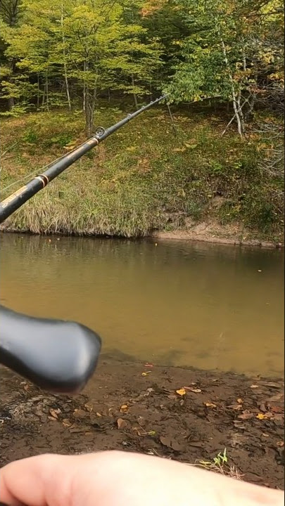 SALMON Fishing in Oregon. HER first COHO! 