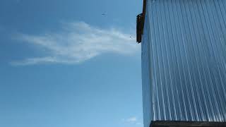 SP JAGUAR WALET PAGI PAGI RESPON