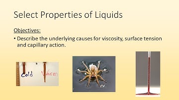Viscosity, Surface Tension and Capillary Action