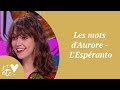 Les mots daurore  lespranto  je taime etc s04