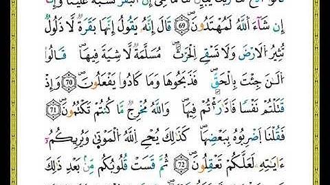 الصفحة رقم (  11 ) من ختمة مصحف التجويد برواية ورش