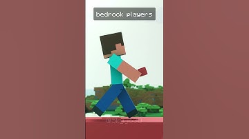Java vs bedrock bridge #minecraft #minecraftanimetion #memes