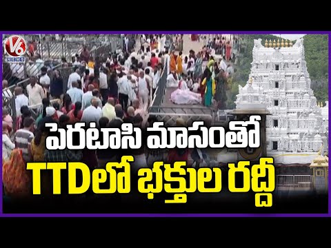 Huge Devotees Visit TTD On Occasion Of Peratasi Masam  | V6 News - V6NEWSTELUGU