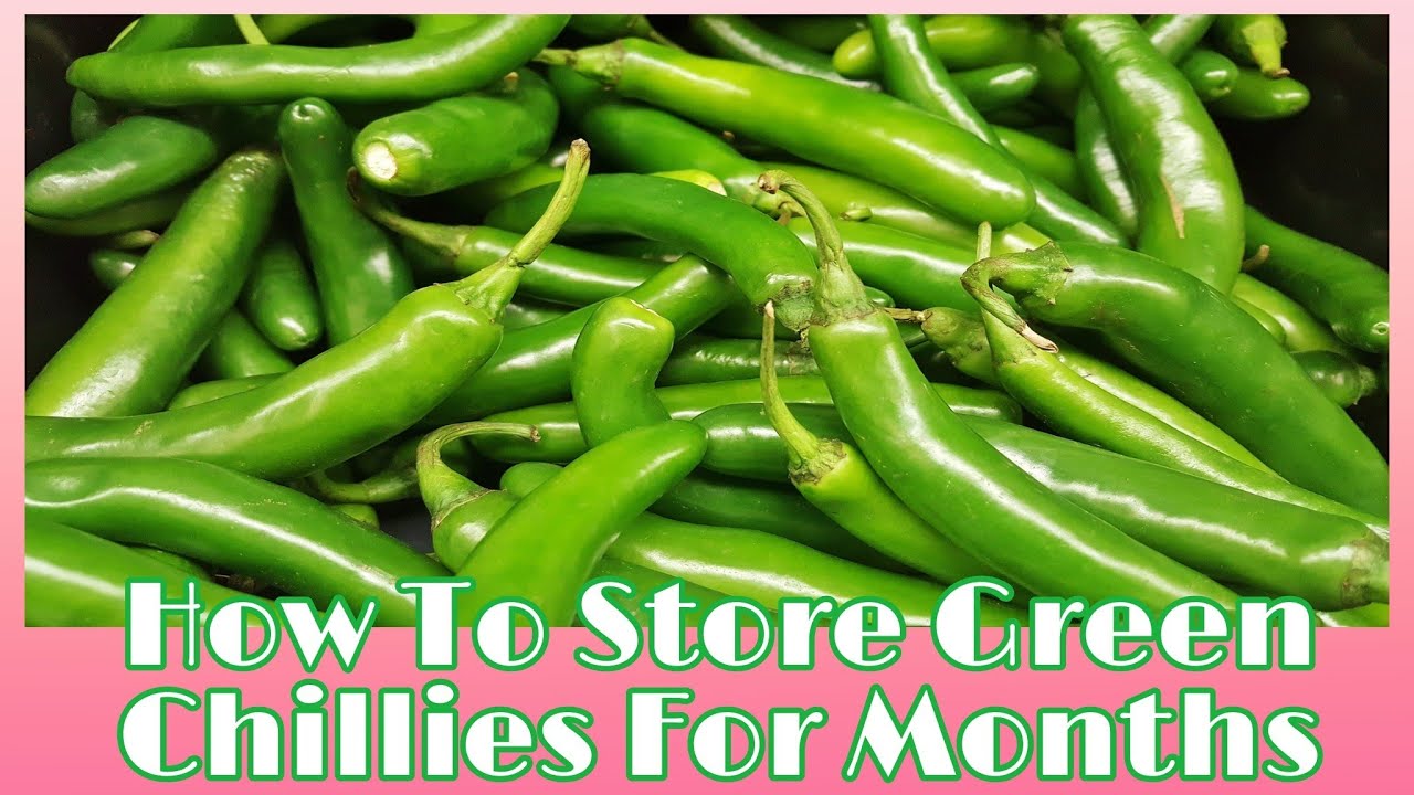 How To Store Green Chillies For Monthsಹಸಿಮೆಣಸು ತಿಂಗಳವರೆಗೆ ಶೇಖರಣೆ