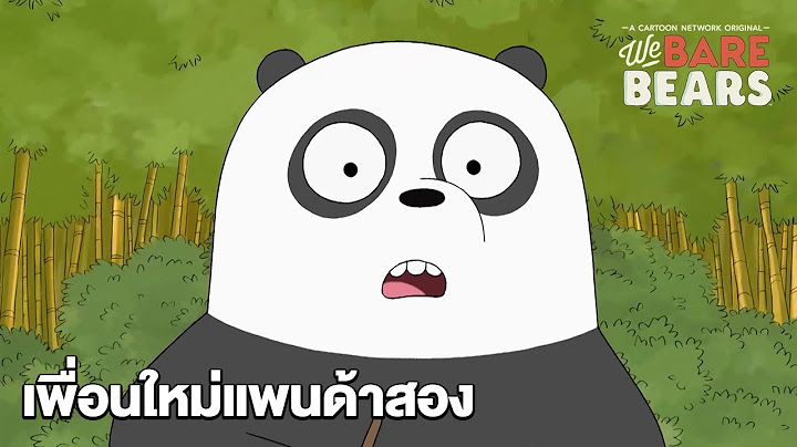 เพื่อนใหม่แพนด้าสอง | สามหมีจอมป่วน | We Bare Bears | Boomerang CN Thailand