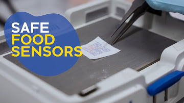 Colorimetric Sensors for Food & Health Monitoring | Scientia Program