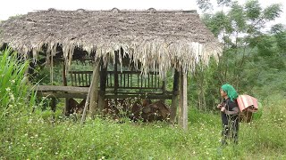TIMELAPSE: 120 Day CLEAN UP Abandoned Houses of Evicted Girl to Survive
