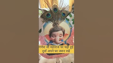 गणेशजी भगवान पर चढ़ी दुर्वा अपने घर जरूर रखें #panditpradeepmishra #upay #ganpatibappamorya #ganesh
