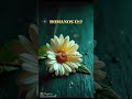 Palavra de Deus #musica #servosdedeus #palavraquesalva #bomdia #palavraselouvores #mensagem