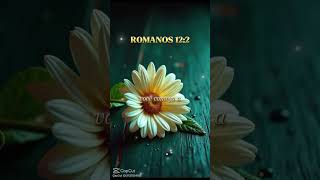 Palavra de Deus #musica #servosdedeus #palavraquesalva #bomdia #palavraselouvores #mensagem