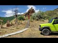 Exploring historical monuments 8-12 centuries with Jimny 2022