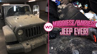 Deep Cleaning a Girl’s DIRTY Jeep | Hairiest\/Dirtiest Jeep EVER | Satisfying Car Detailing!