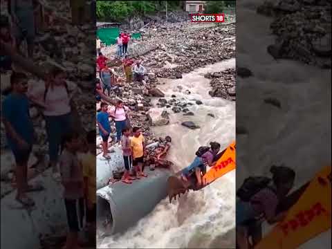 Uttarakhand News | 14 Stranded Tourists Rescued From Panna Resort In Uttarakhand&#39;s Tehri | #Shorts