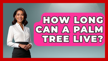 How Long Can A Palm Tree Live? - The Plant Enthusiast