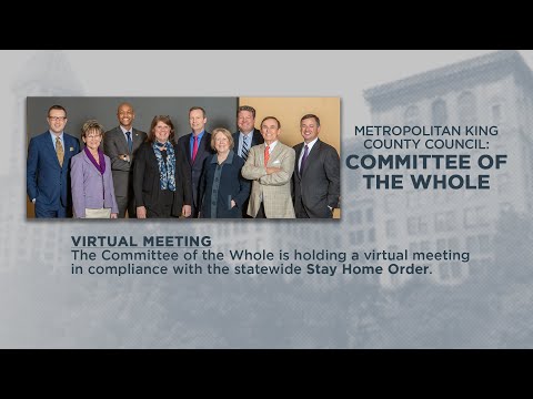 Video: About The 300 Committee - Alternative View