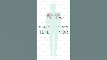 Trigger Point Referral Pattern:  Teres Minor
