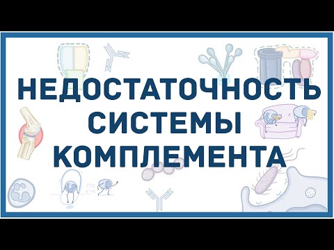 Недостаточность системы комплемента - патология иммунитета