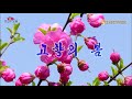 고향의 봄【故郷の春】韓国/朝鮮民謡