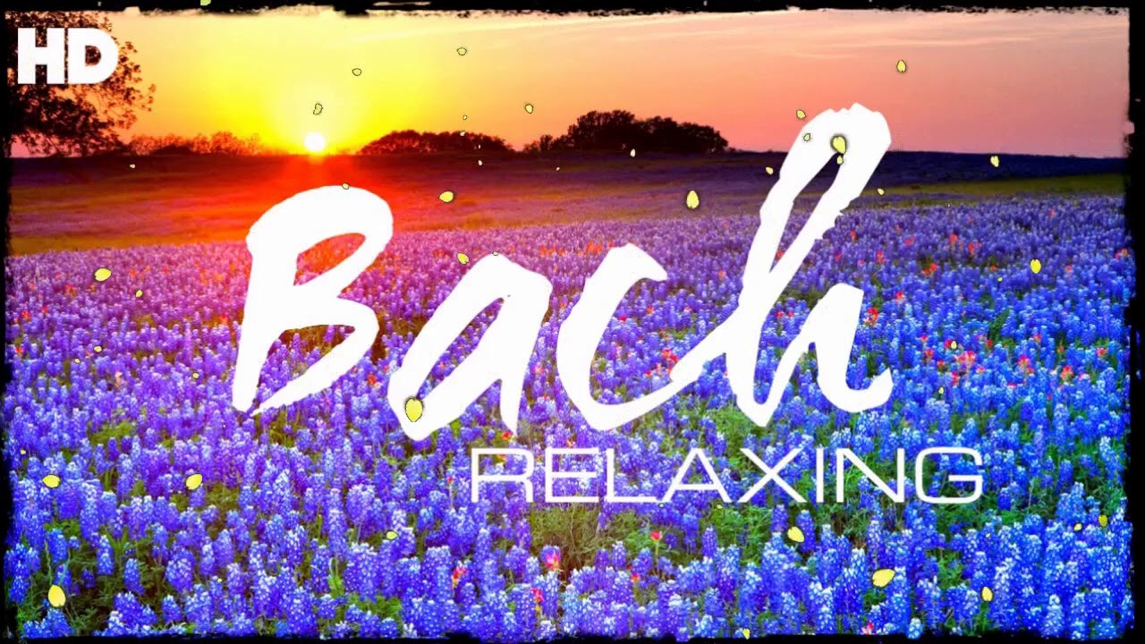 The Best Relaxing Classical Music Ever By Bach Relaxation Meditation Focus Reading YouTube