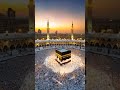 Insha allah #allah #inshallah #saudiarabia #islamicshorts#kater #india #pakistan #iran #bangladesh